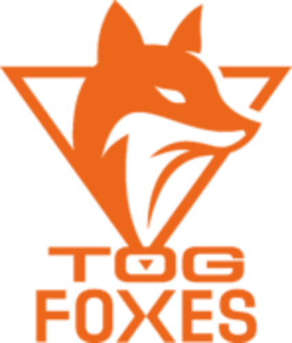 TeamOrangeGaming