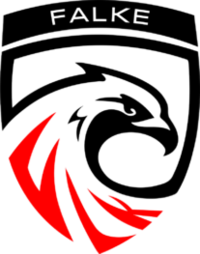 FALKE Esports